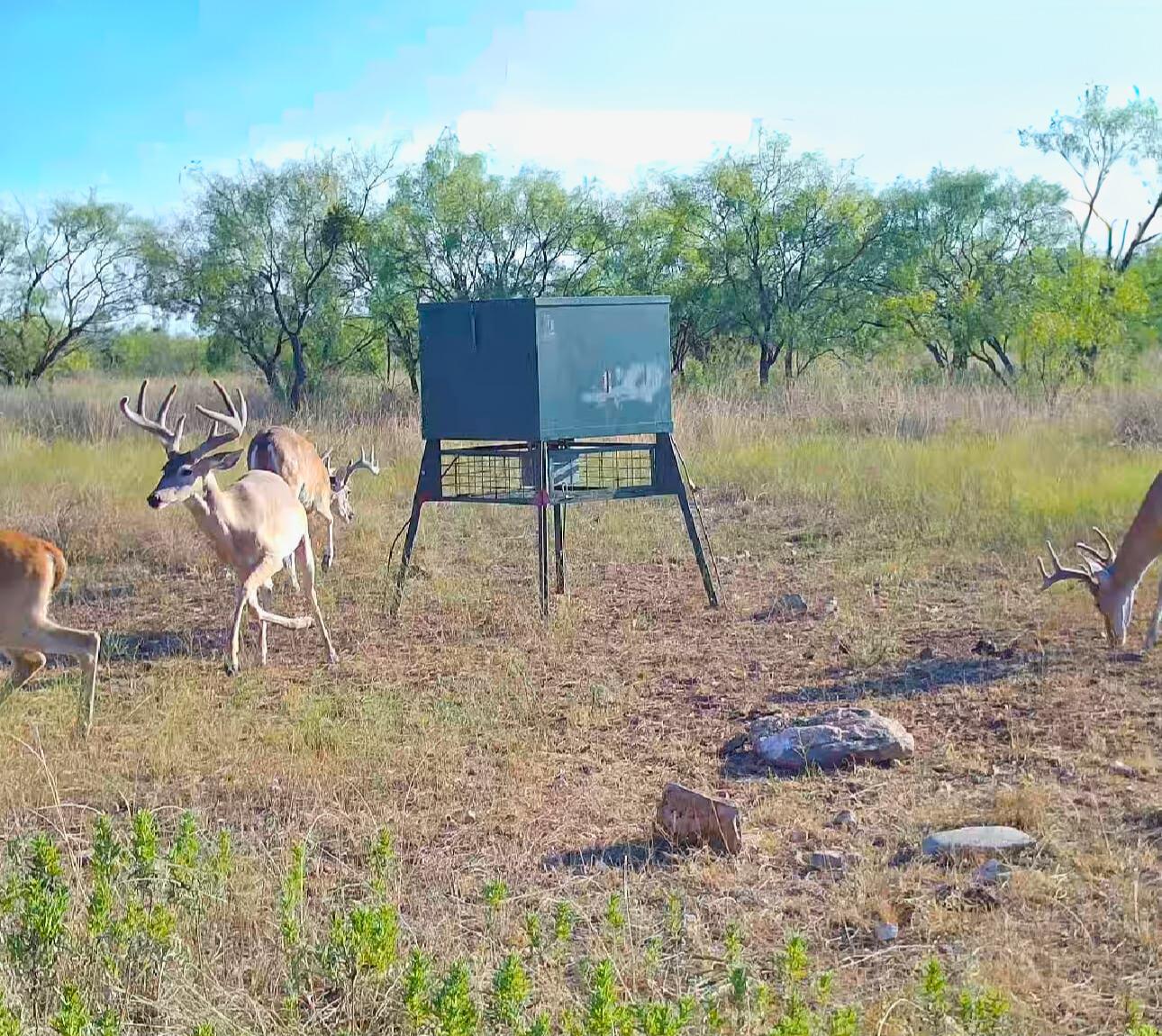 701 County Road 496, Coleman, TX 79519