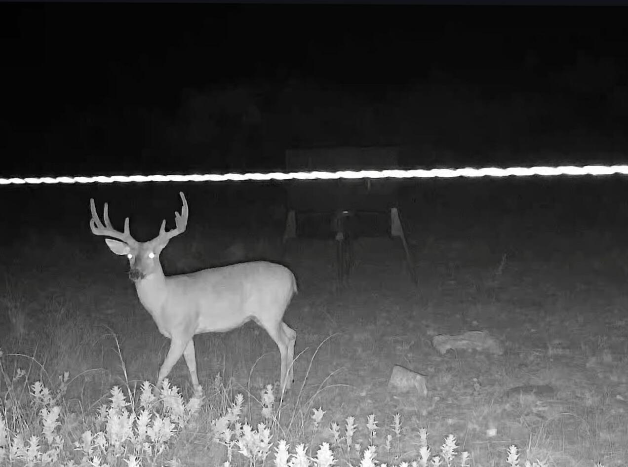 701 County Road 496, Coleman, TX 79519