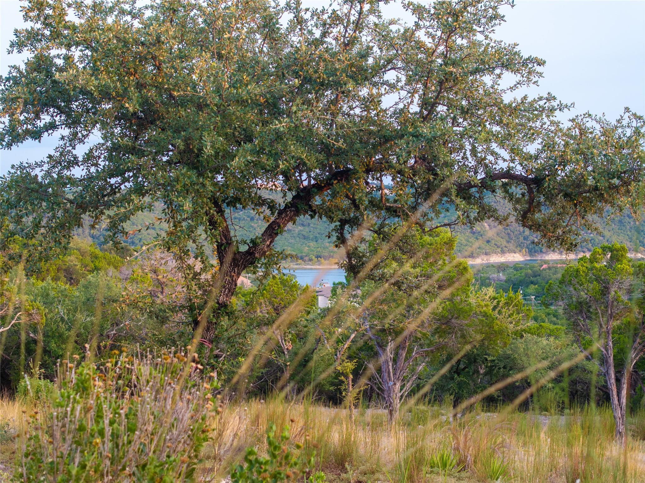 8144 Lake Mountain Ln, Leander, TX 78641