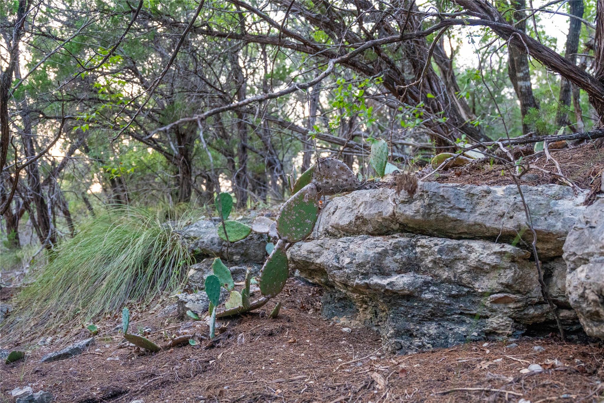 8144 Lake Mountain Ln, Leander, TX 78641