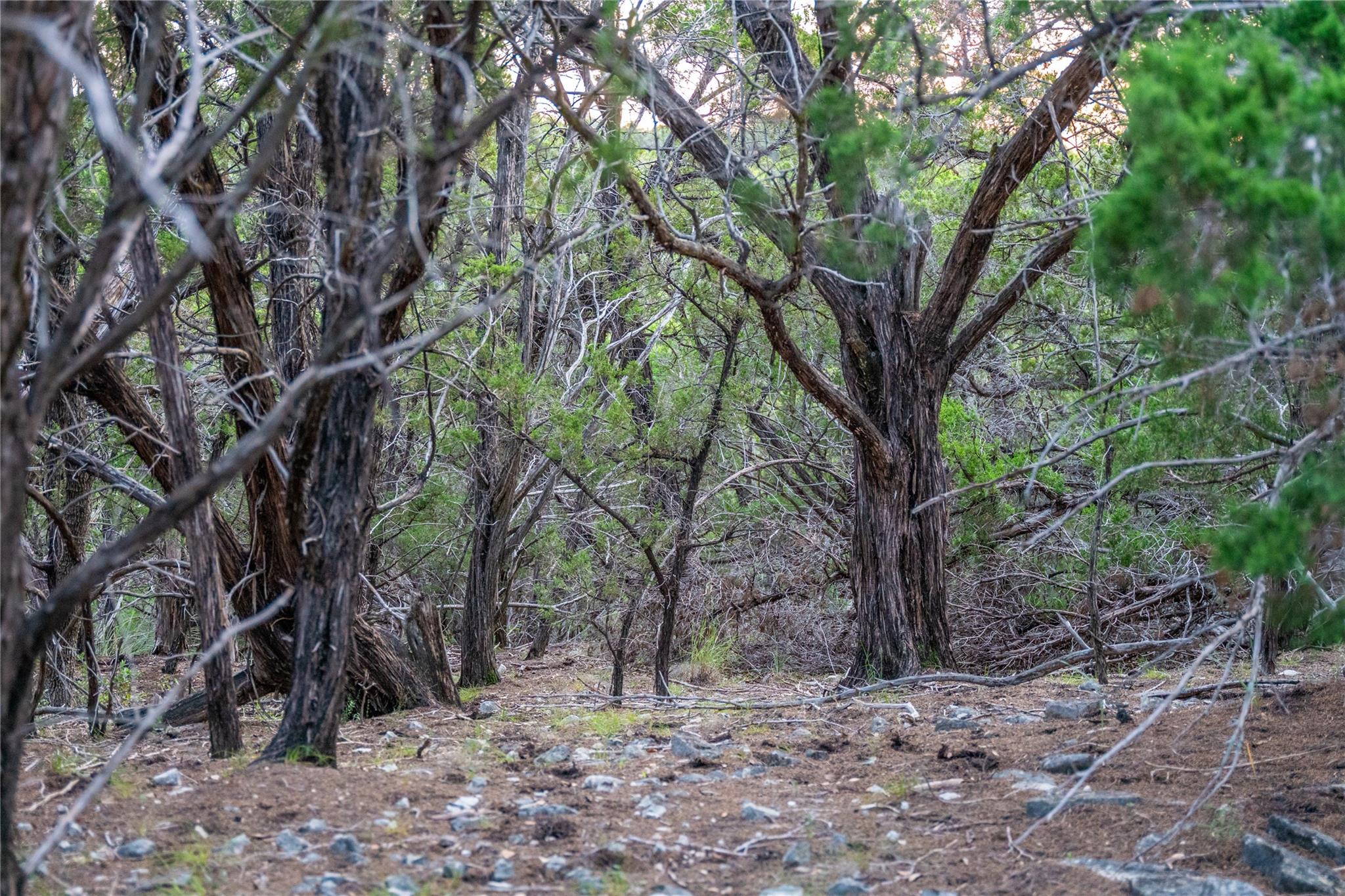 8144 Lake Mountain Ln, Leander, TX 78641