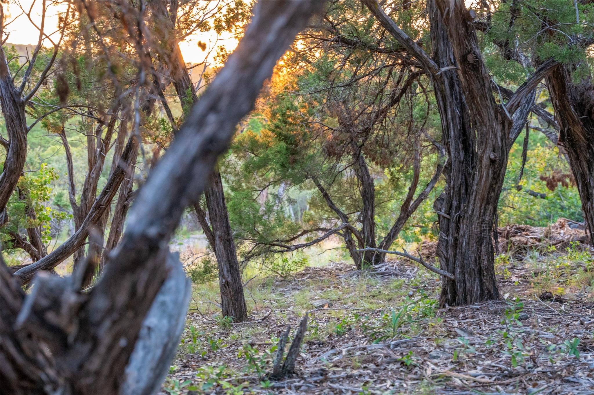 8144 Lake Mountain Ln, Leander, TX 78641