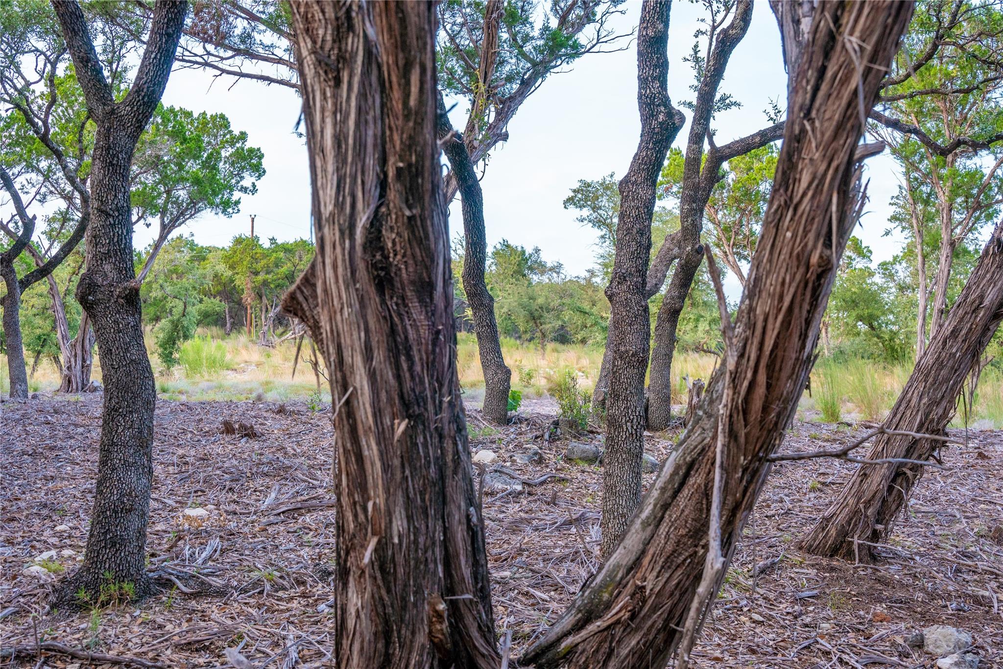 8144 Lake Mountain Ln, Leander, TX 78641