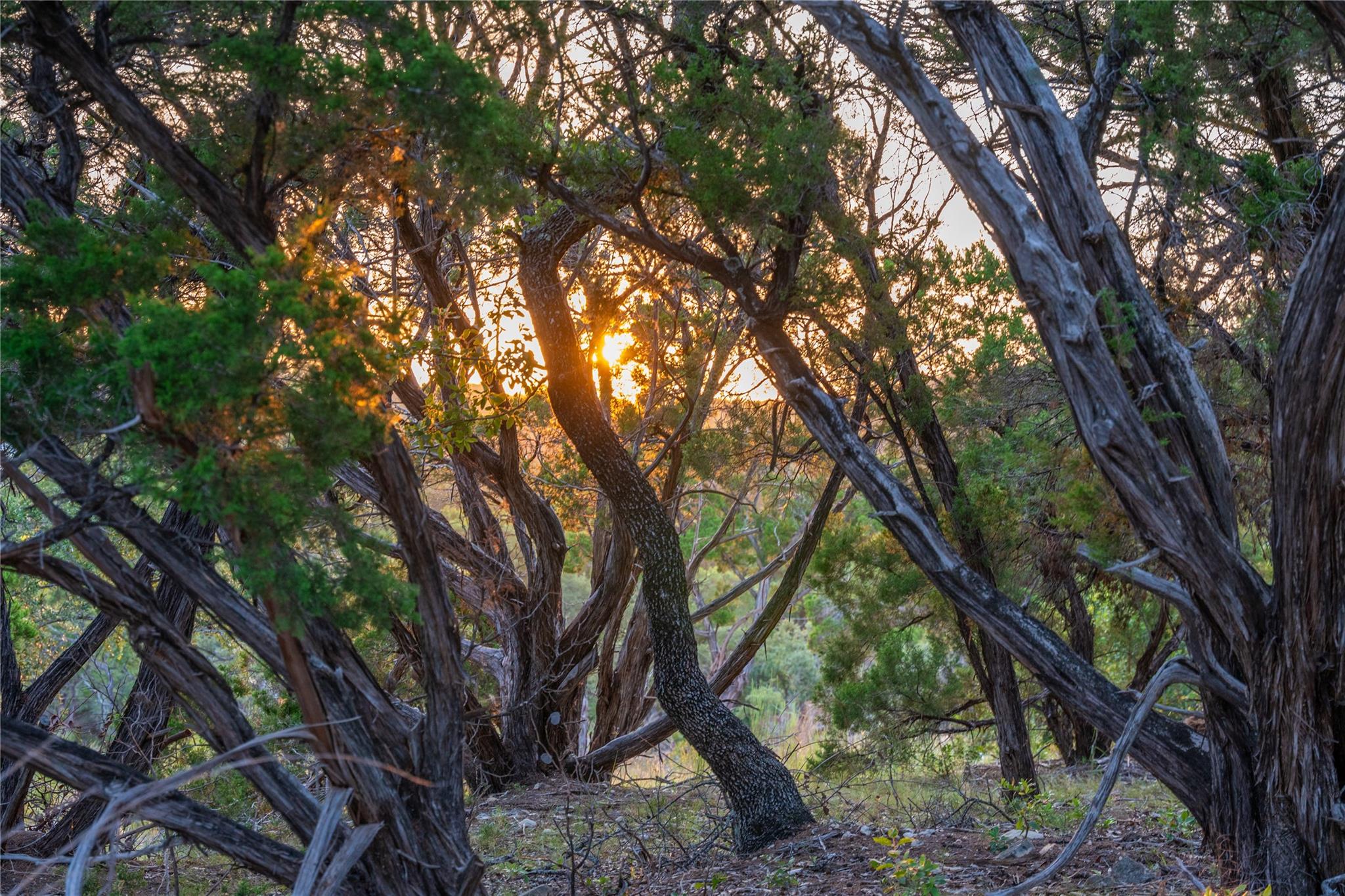 8144 Lake Mountain Ln, Leander, TX 78641