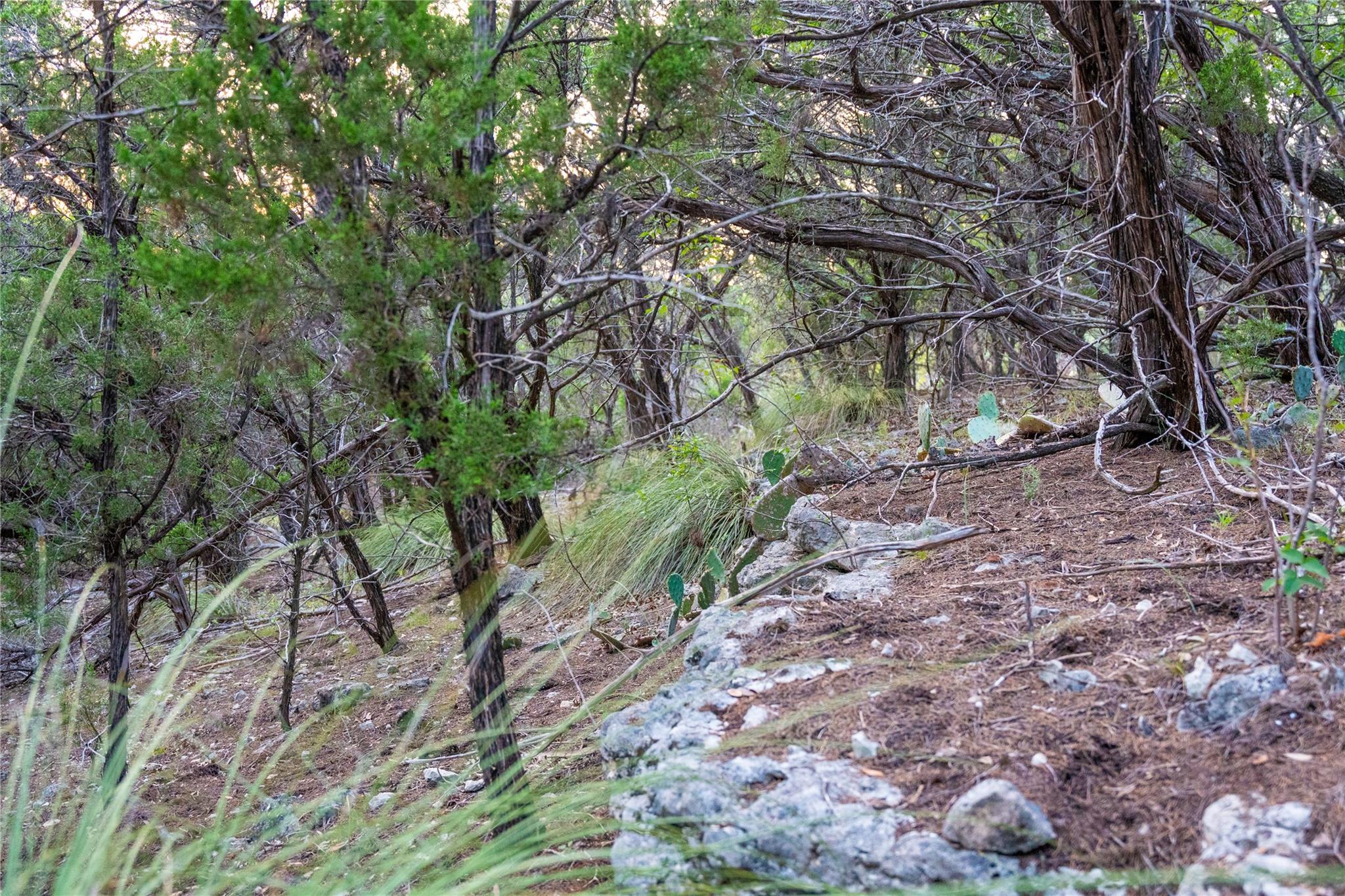 8144 Lake Mountain Ln, Leander, TX 78641