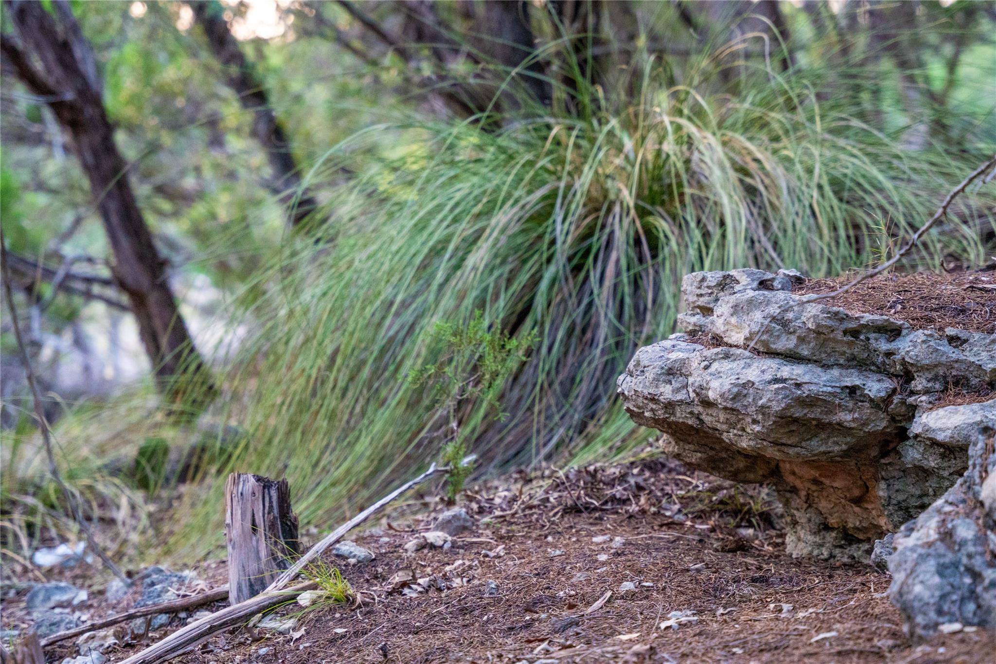 8144 Lake Mountain Ln, Leander, TX 78641