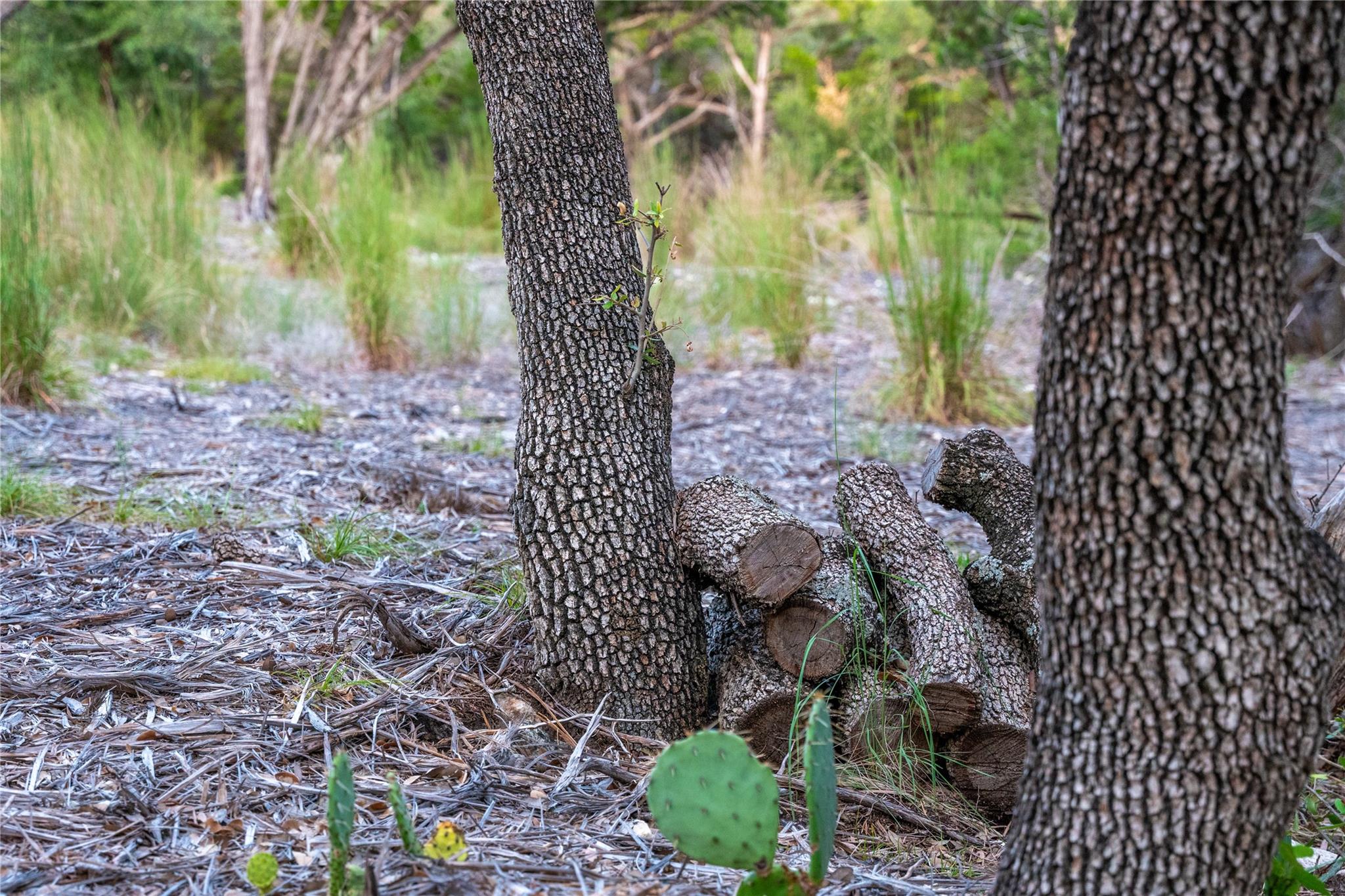 8144 Lake Mountain Ln, Leander, TX 78641