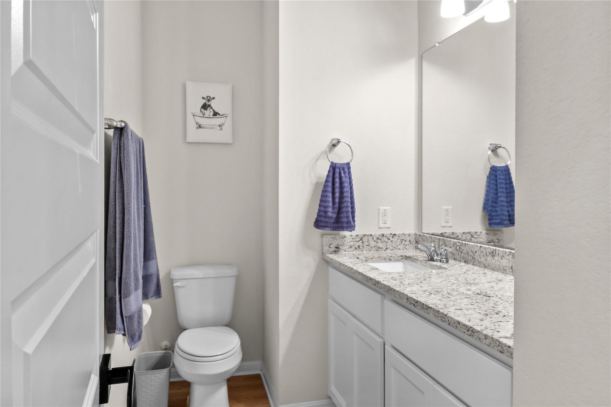 323 Tolo Dr, Elgin, TX 78621