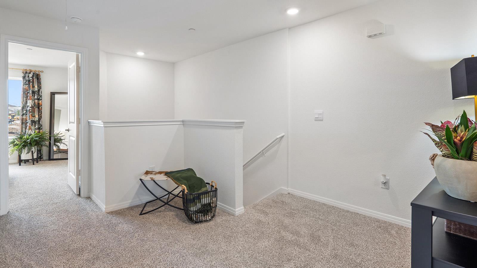 2519 Ophelia Levi Ln, Round Rock, TX 78665