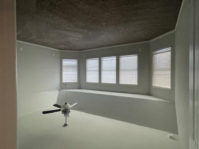 136 Belford St, Georgetown, TX 78628