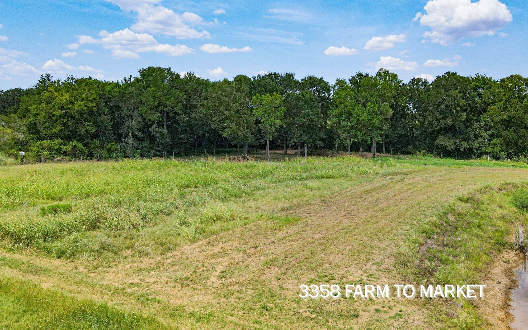 3358 FM 166, Caldwell, TX 77836