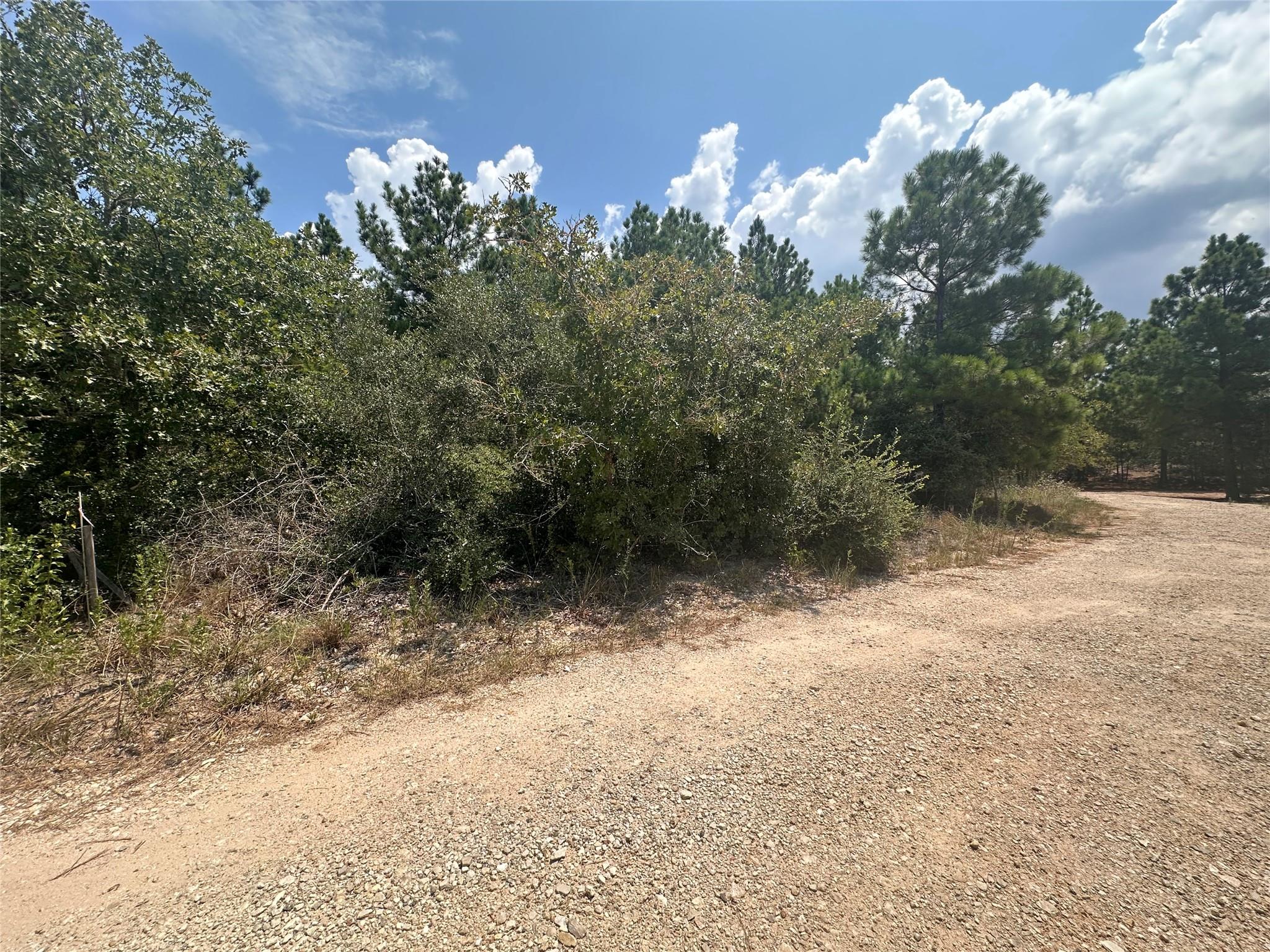 LOT 42 Hereford Ln, Bastrop, TX 78602