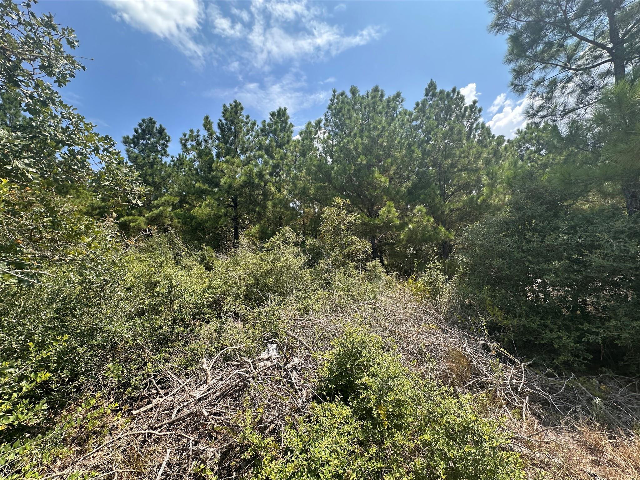 LOT 42 Hereford Ln, Bastrop, TX 78602