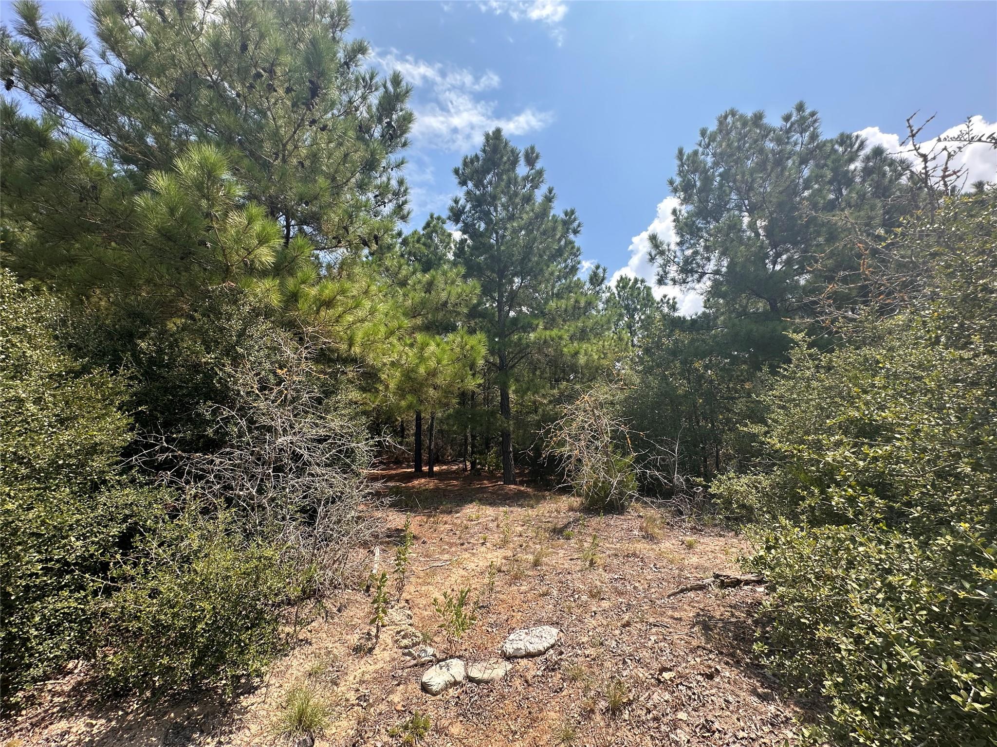 LOT 42 Hereford Ln, Bastrop, TX 78602