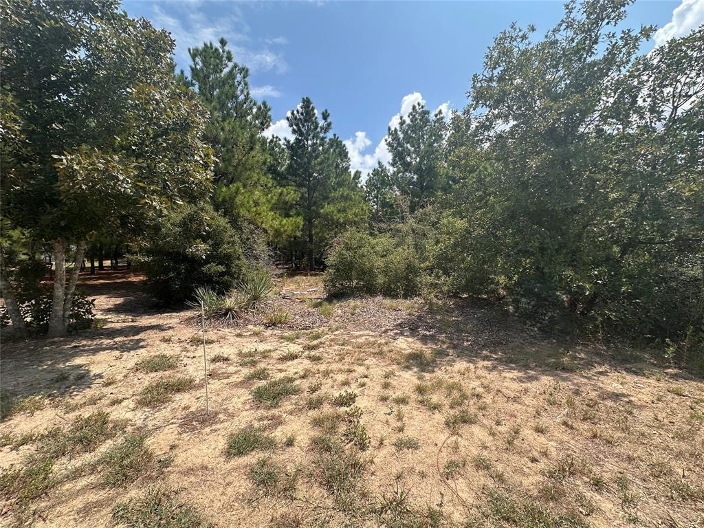 LOT 42 Hereford Ln, Bastrop, TX 78602
