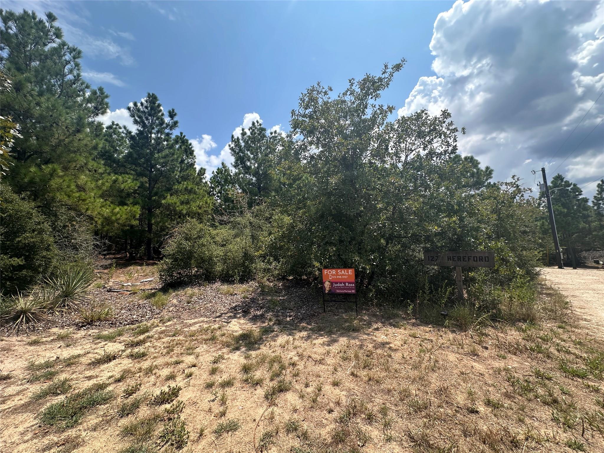 LOT 42 Hereford Ln, Bastrop, TX 78602