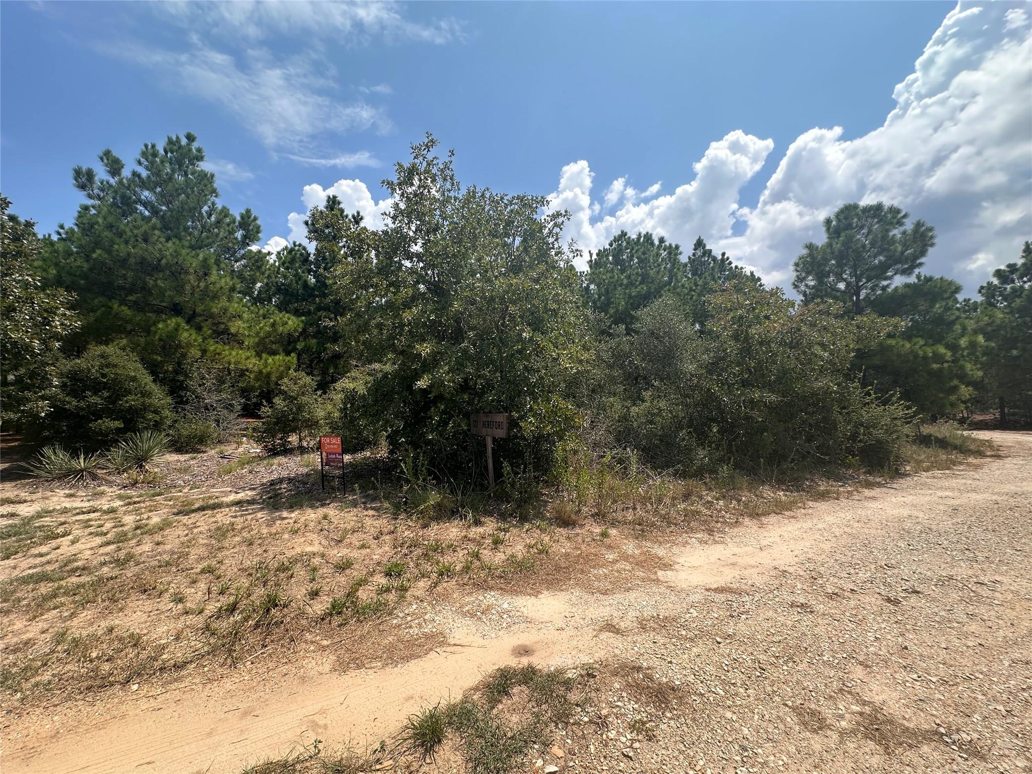 LOT 42 Hereford Ln, Bastrop, TX 78602
