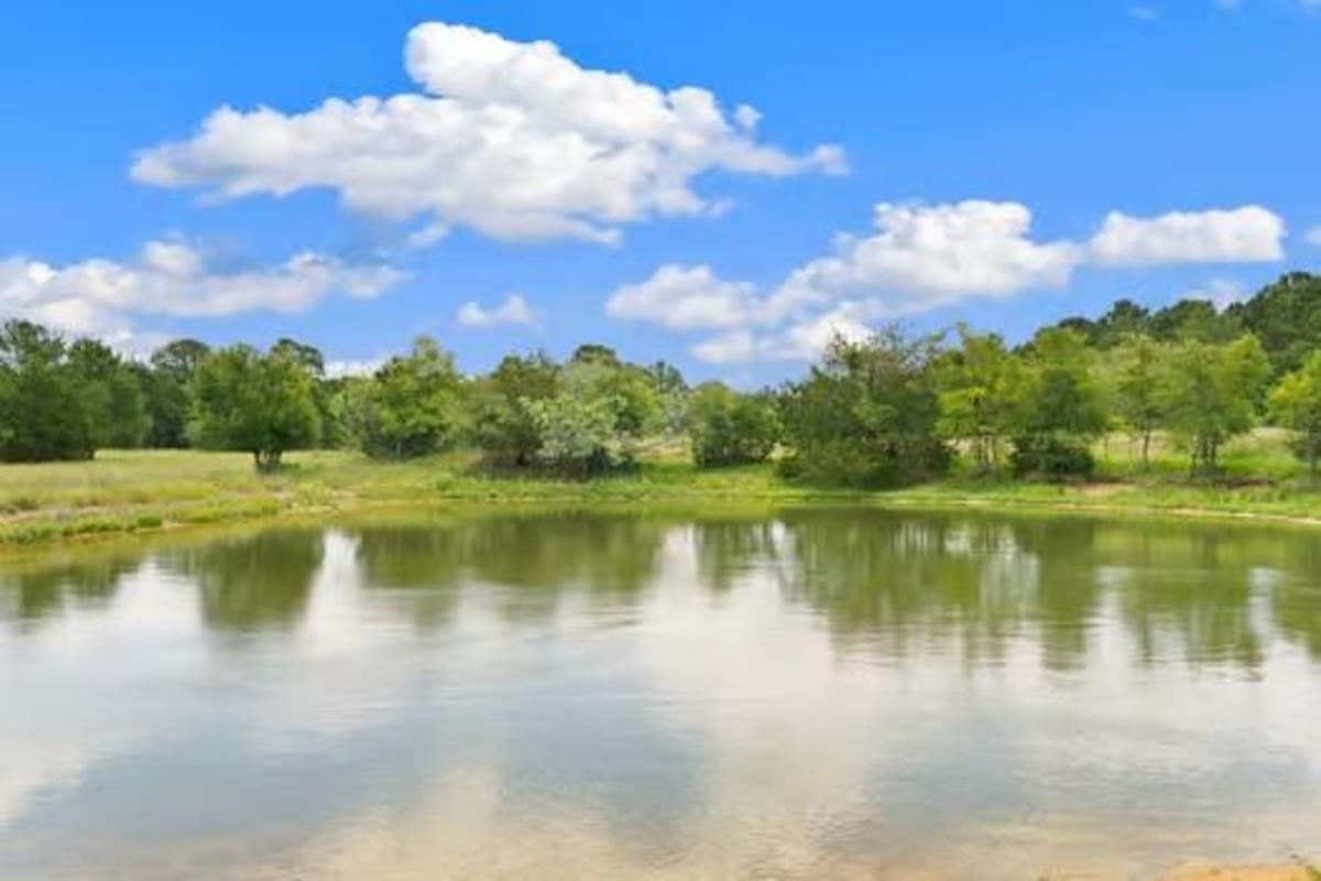 705 Antioch Rd, Paige, TX 78659