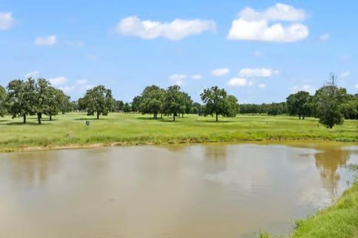 705 Antioch Rd, Paige, TX 78659