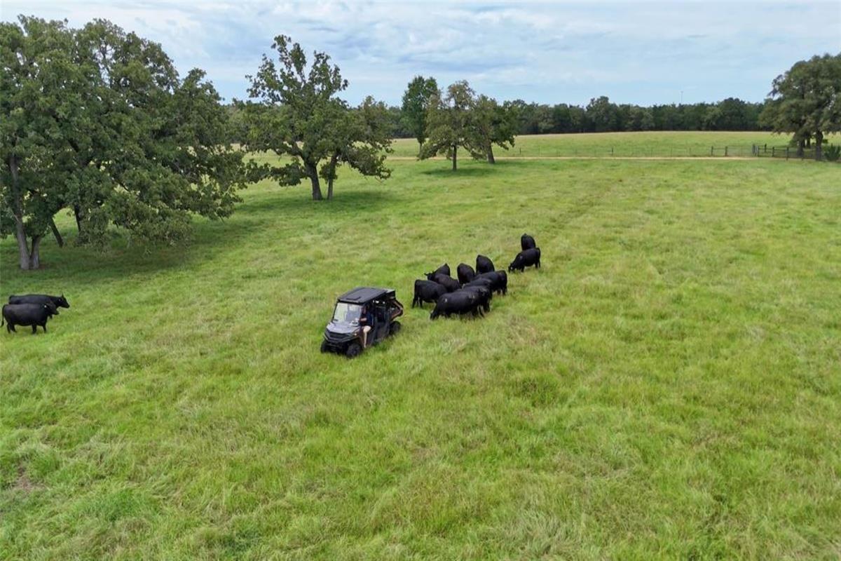 705 Antioch Rd, Paige, TX 78659