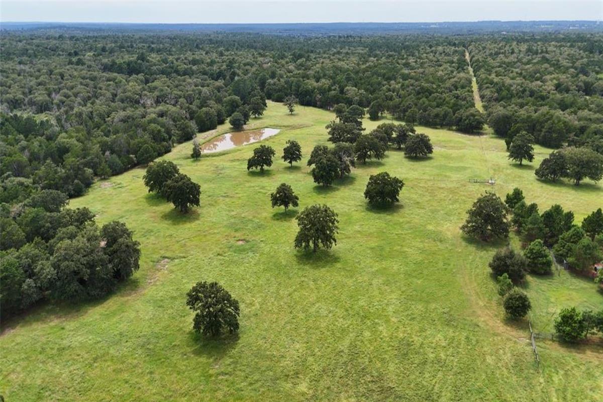 705 Antioch Rd, Paige, TX 78659