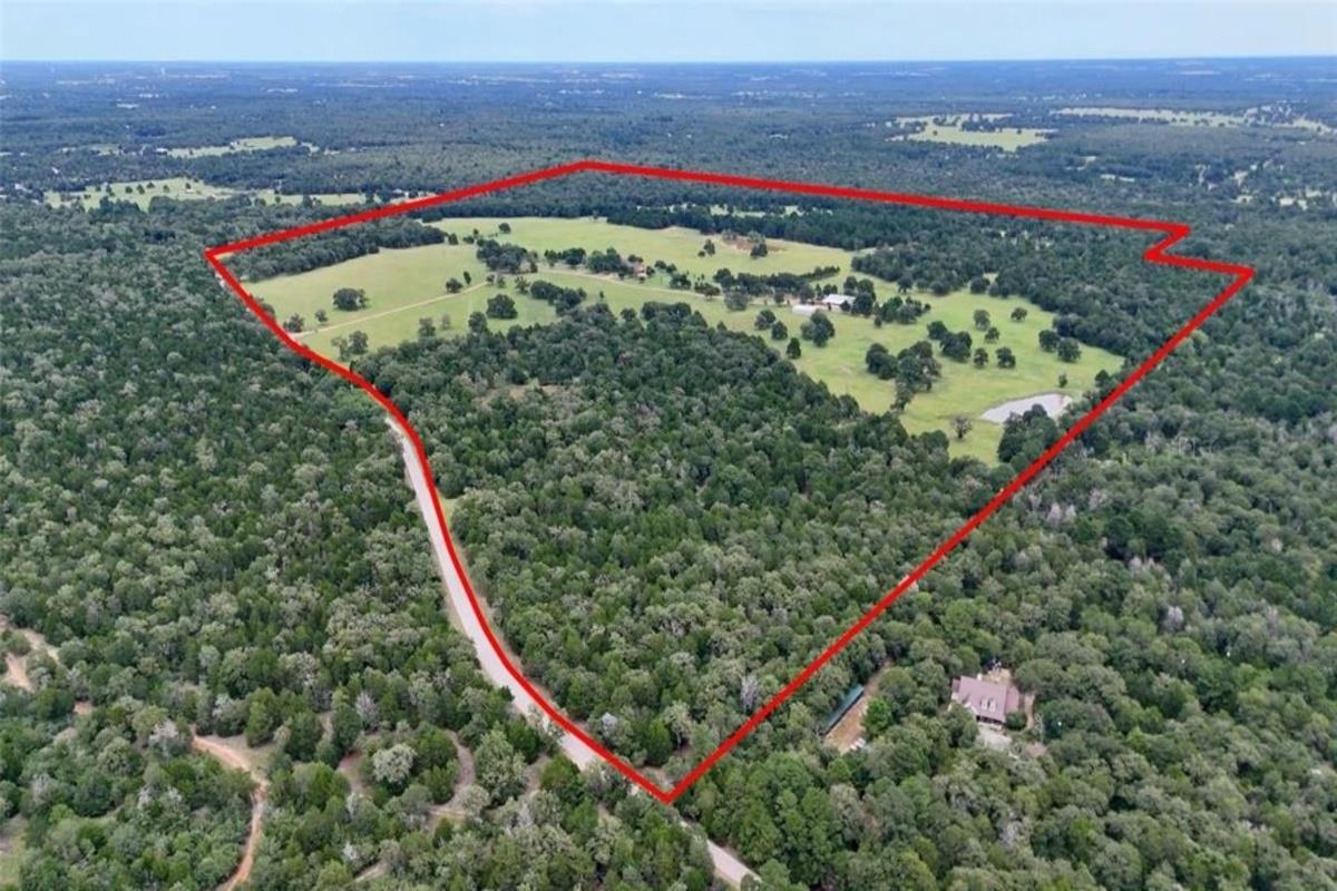 705 Antioch Rd, Paige, TX 78659