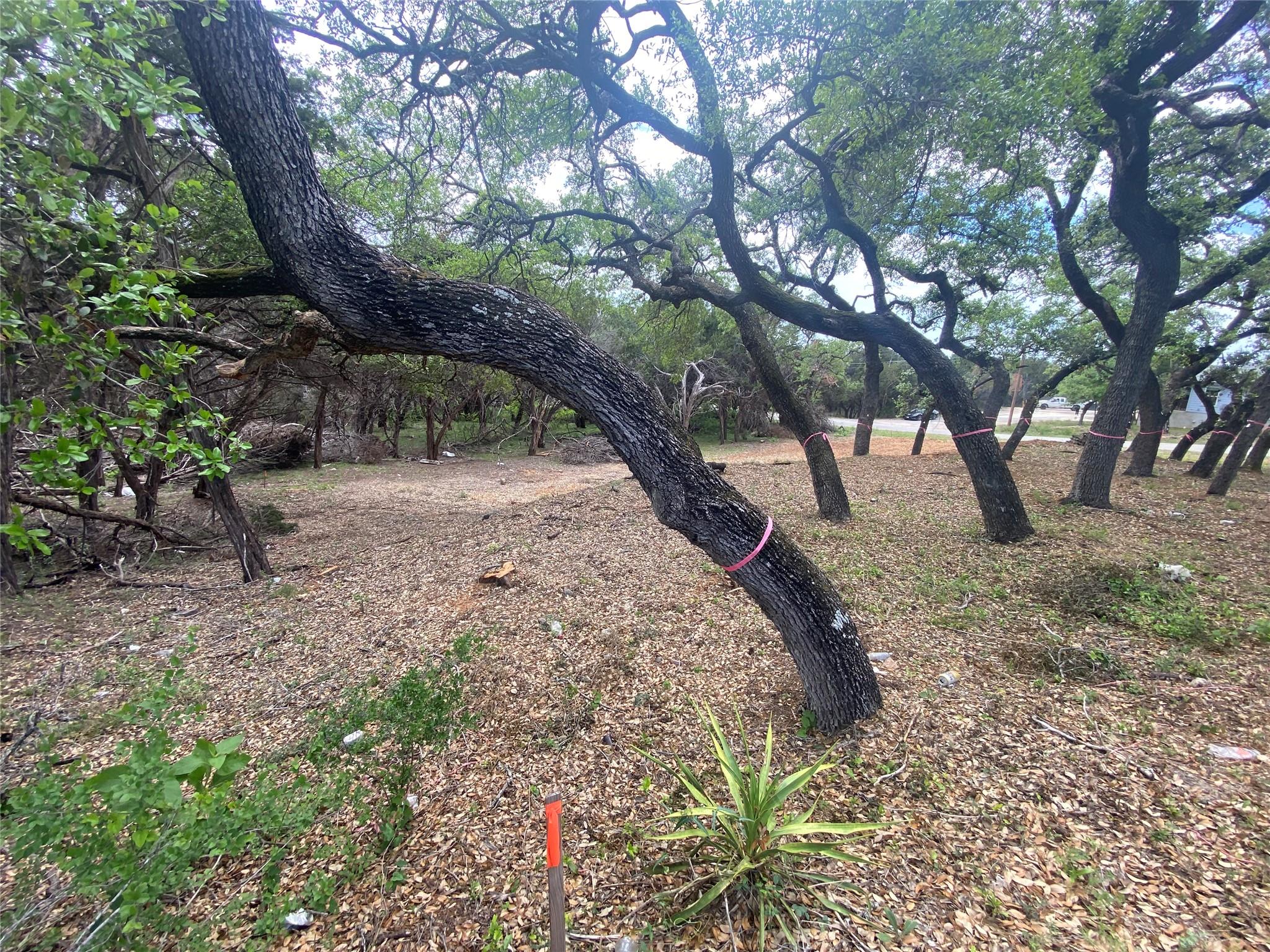 20404 Ridgeview Rd, Lago Vista, TX 78645