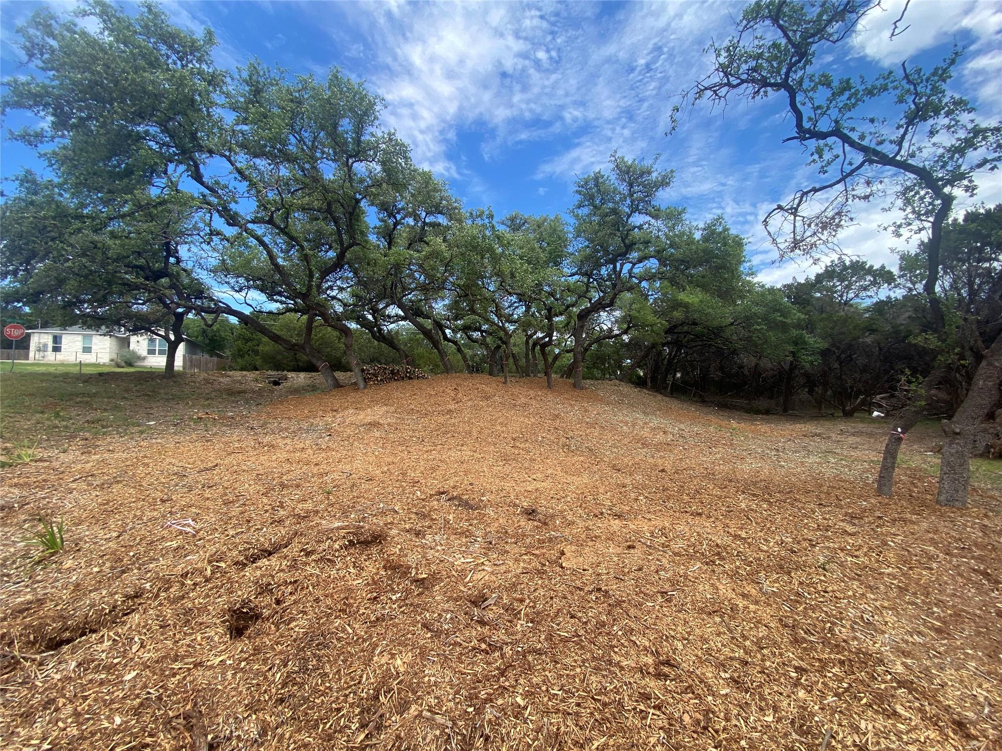 20404 Ridgeview Rd, Lago Vista, TX 78645