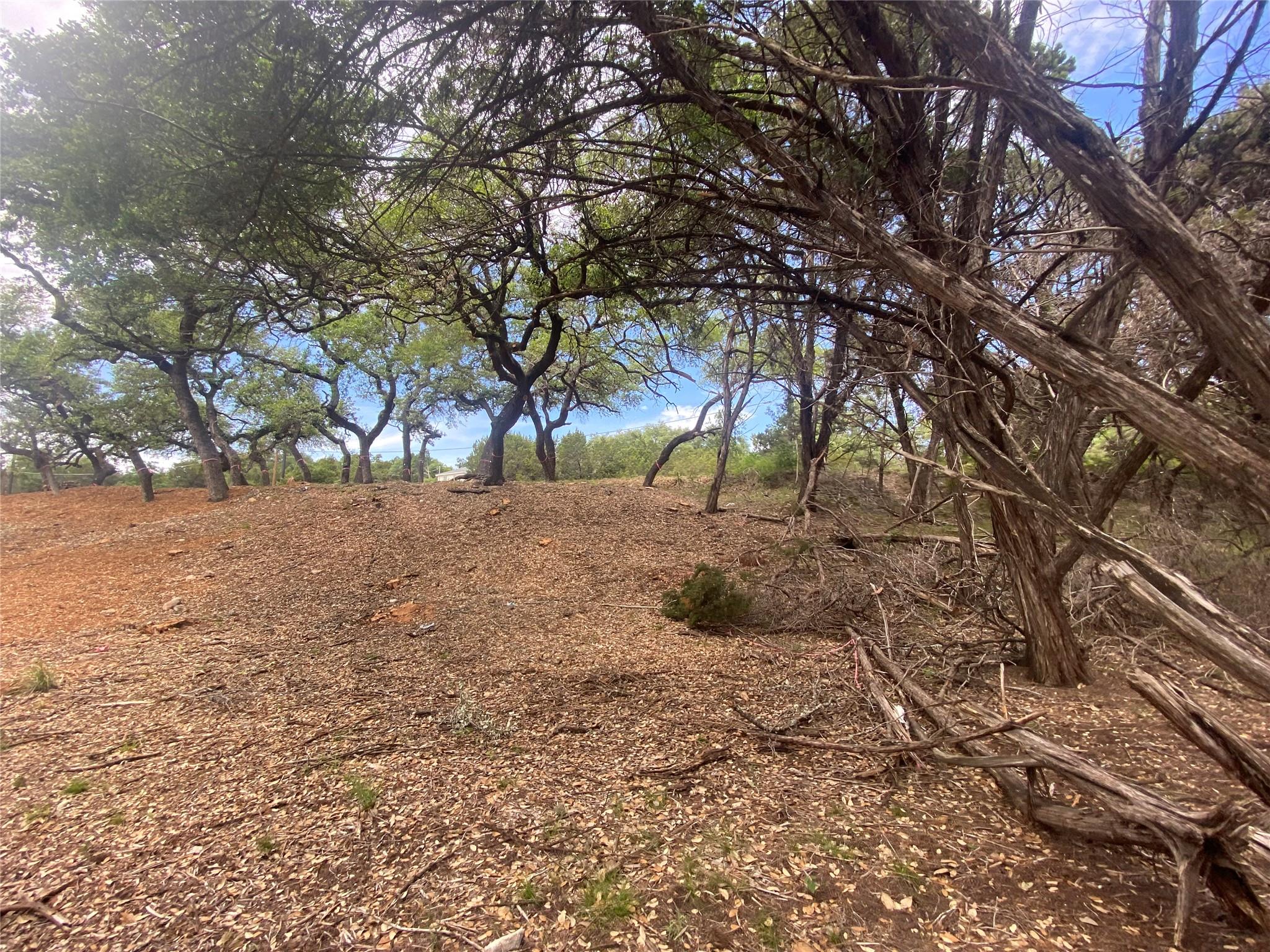 20404 Ridgeview Rd, Lago Vista, TX 78645