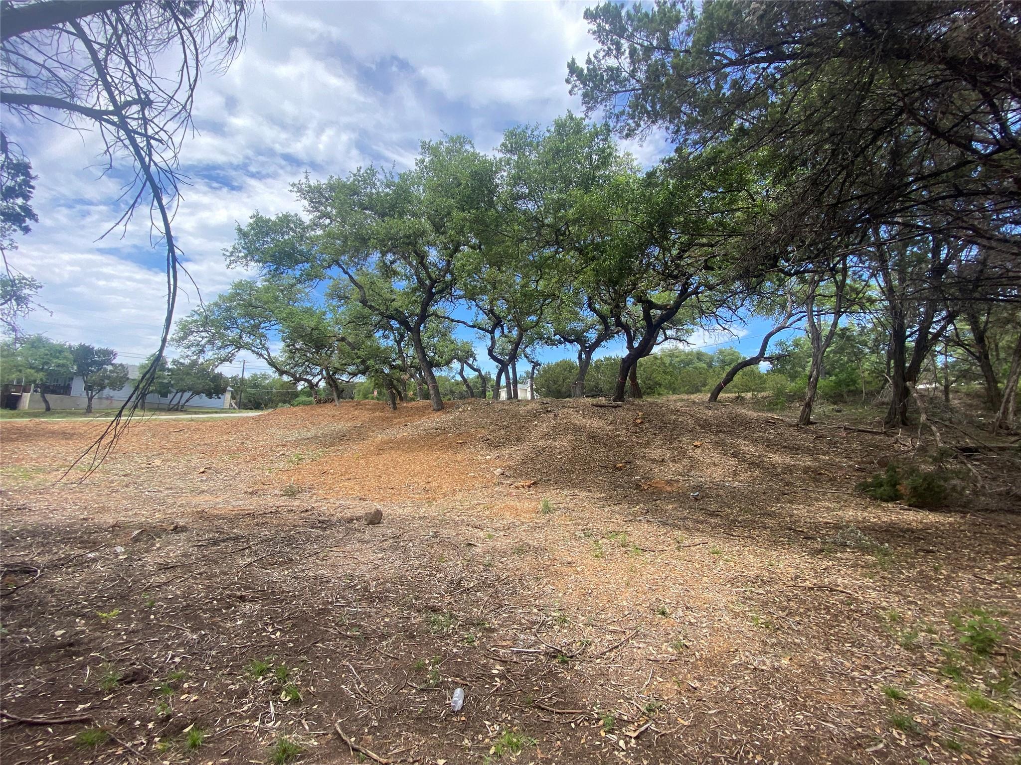 20404 Ridgeview Rd, Lago Vista, TX 78645