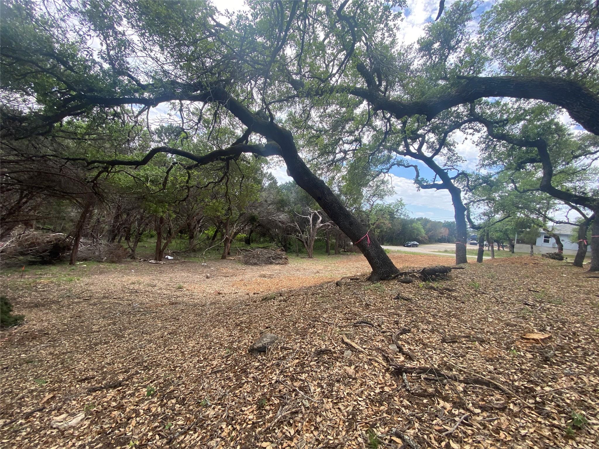 20404 Ridgeview Rd, Lago Vista, TX 78645