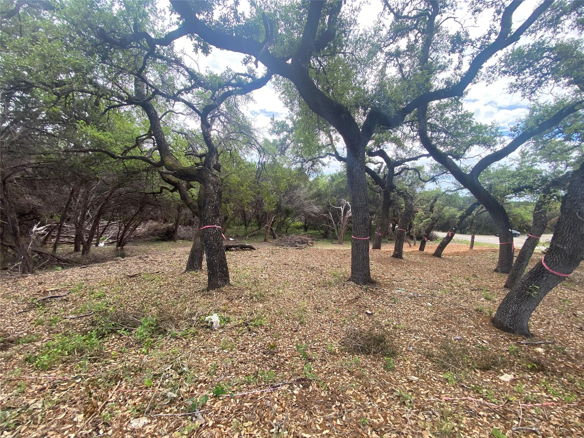 20404 Ridgeview Rd, Lago Vista, TX 78645