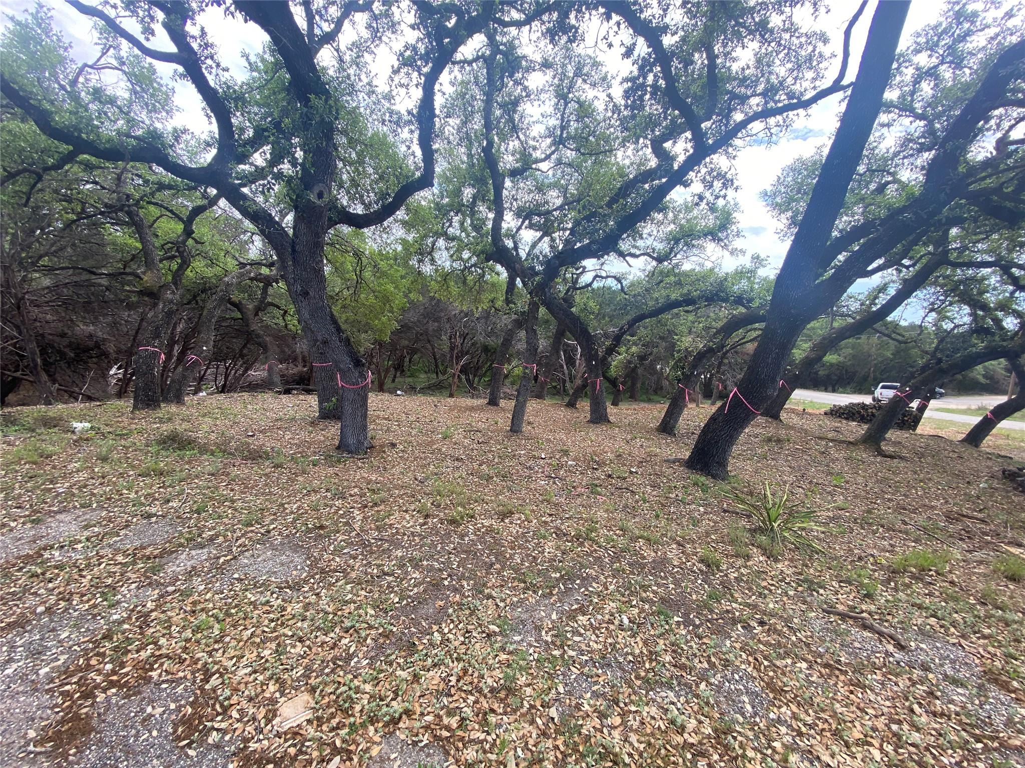 20404 Ridgeview Rd, Lago Vista, TX 78645