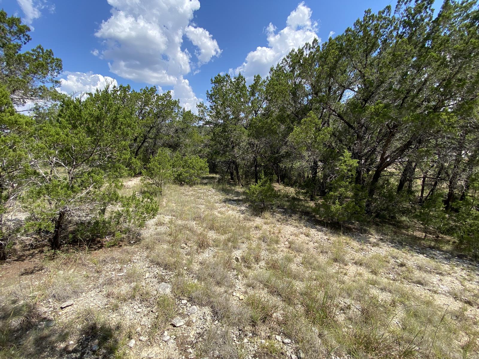 19201 W Reed Parks Rd, Jonestown, TX 78645