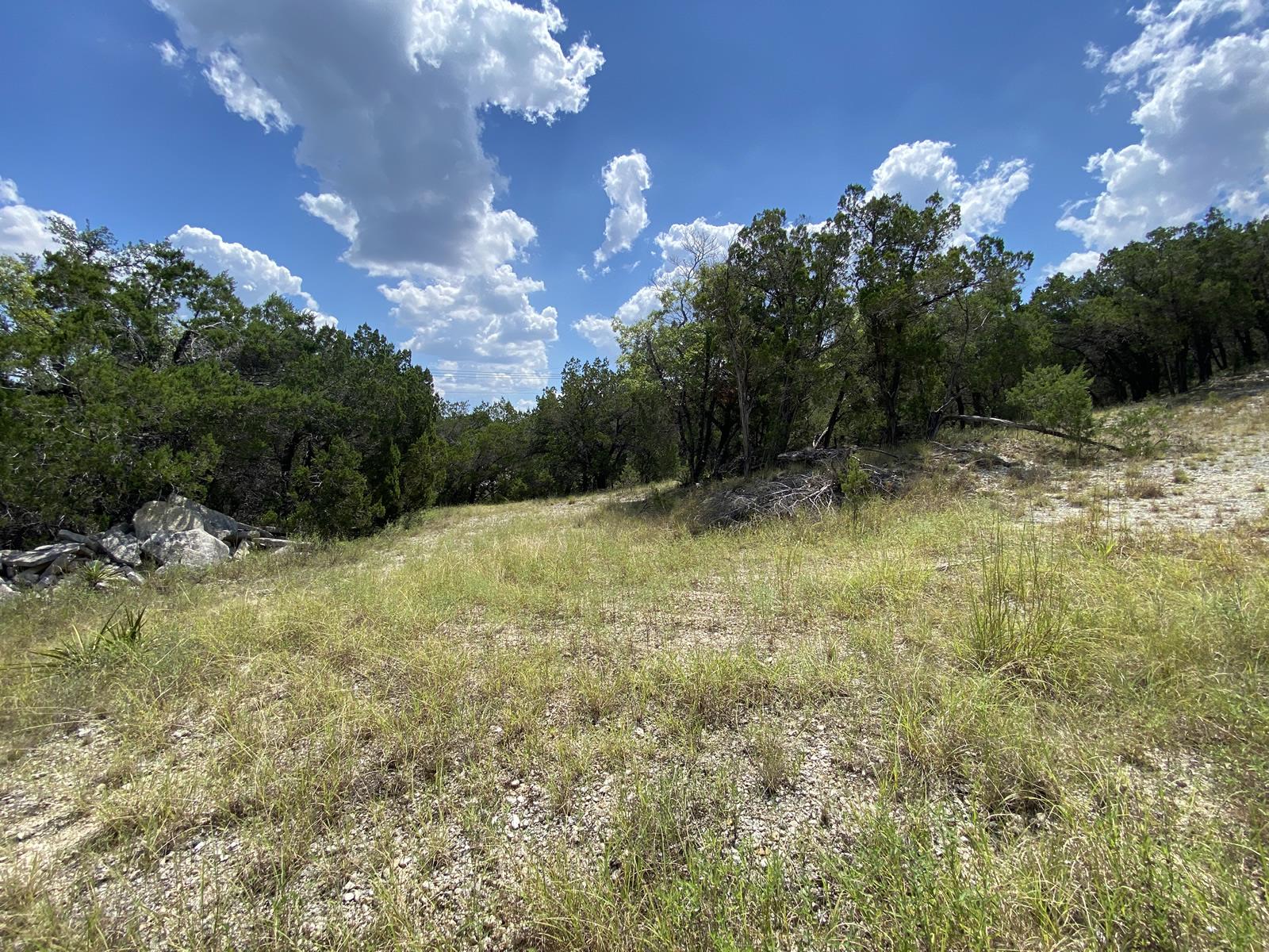 19201 W Reed Parks Rd, Jonestown, TX 78645