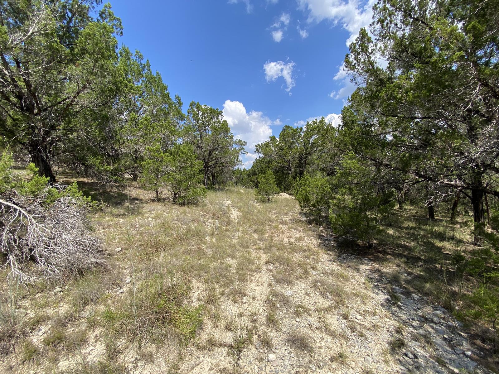 19201 W Reed Parks Rd, Jonestown, TX 78645