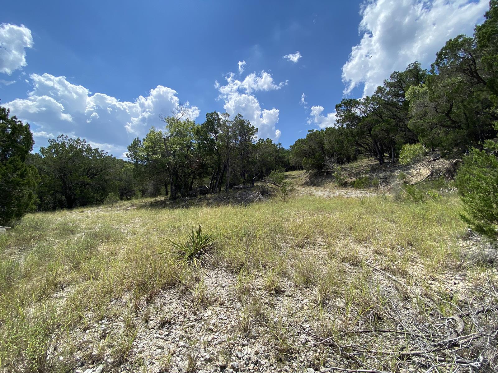 19201 W Reed Parks Rd, Jonestown, TX 78645