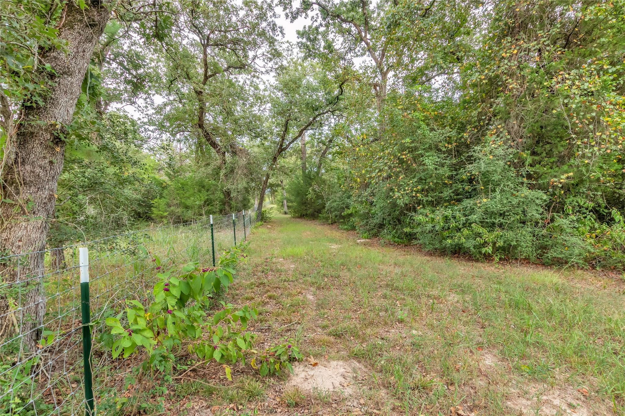 6211 County Road 342, Milano, TX 76556