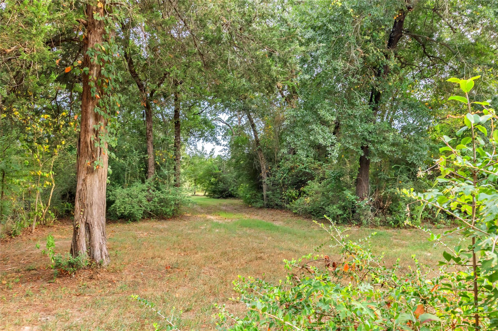 6211 County Road 342, Milano, TX 76556