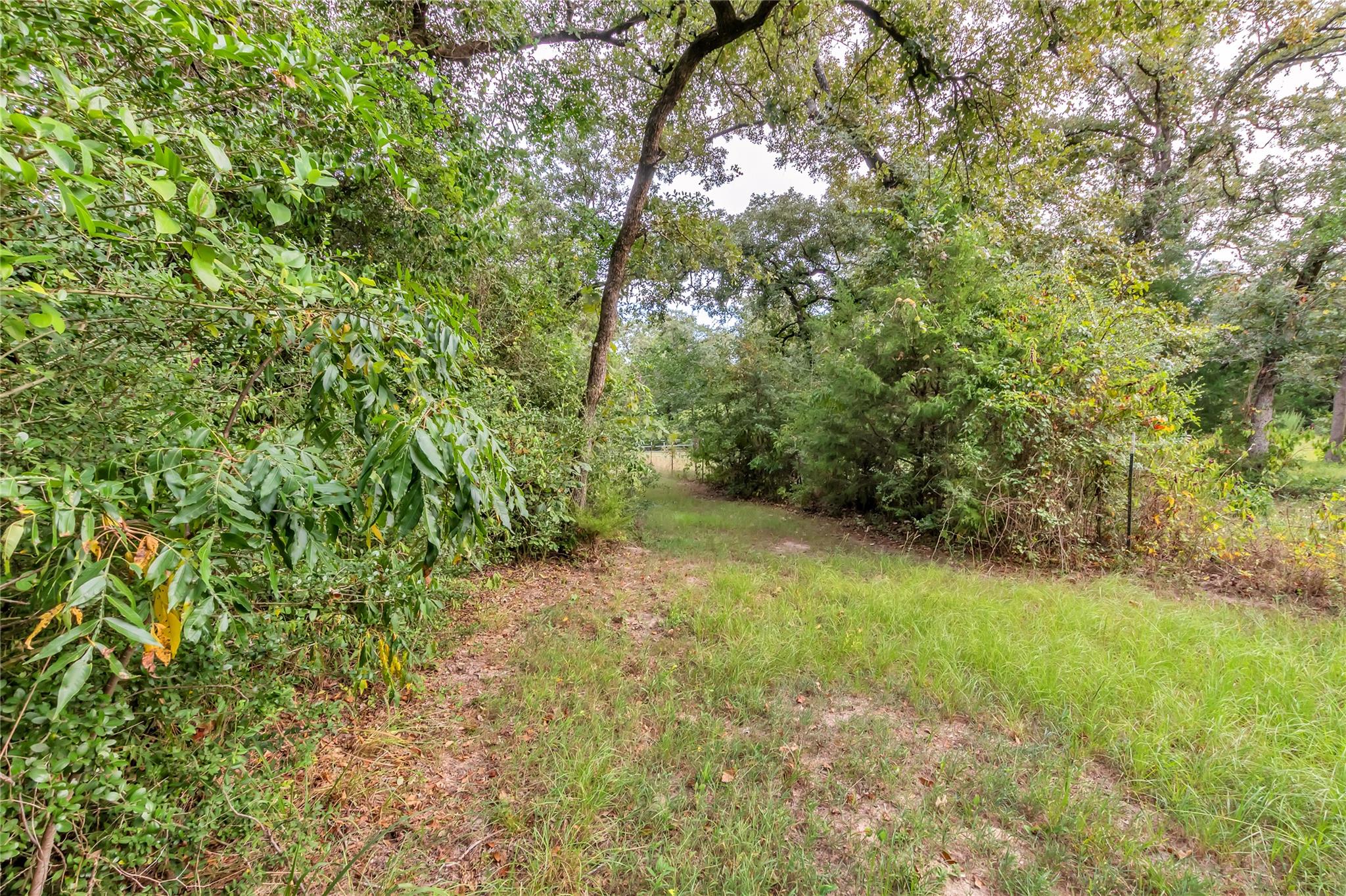 6211 County Road 342, Milano, TX 76556