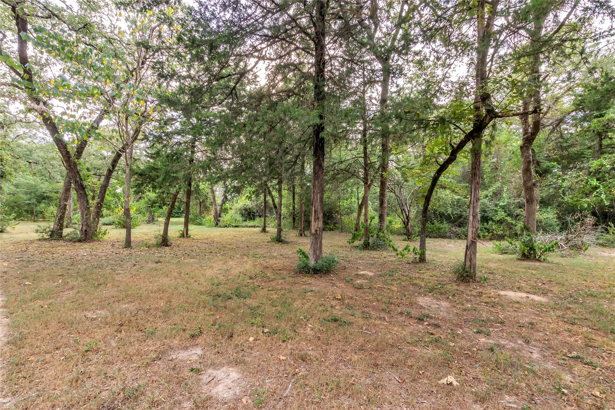 6211 County Road 342, Milano, TX 76556