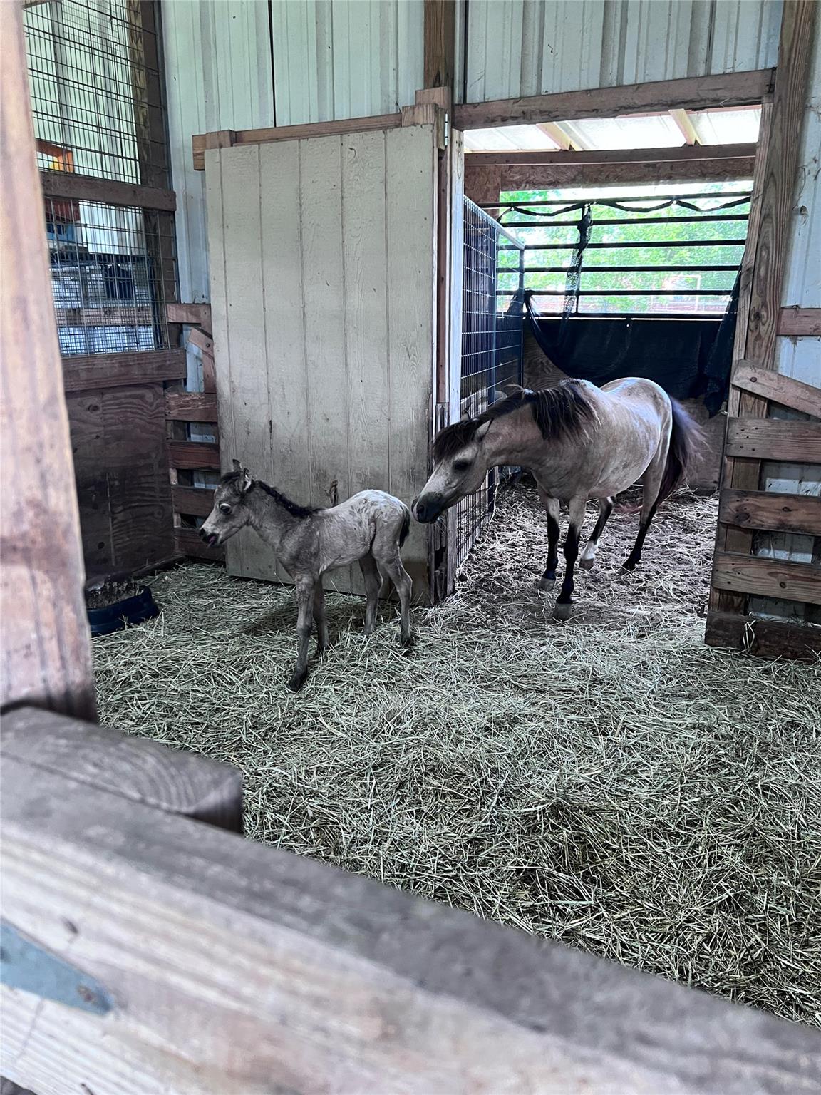 14112 Wells School Rd, Manor, TX 78653