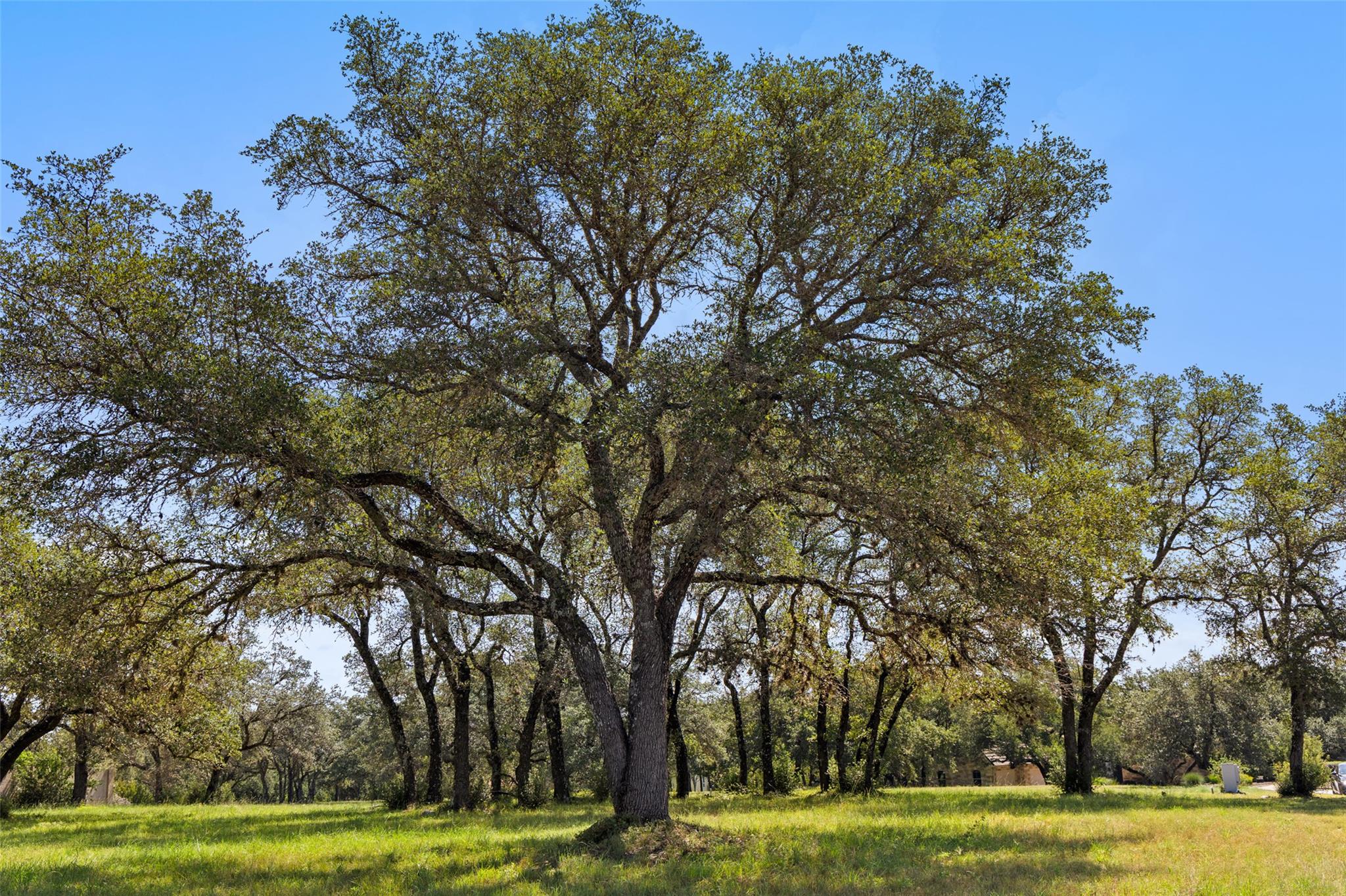 26309 Countryside Dr, Spicewood, TX 78669