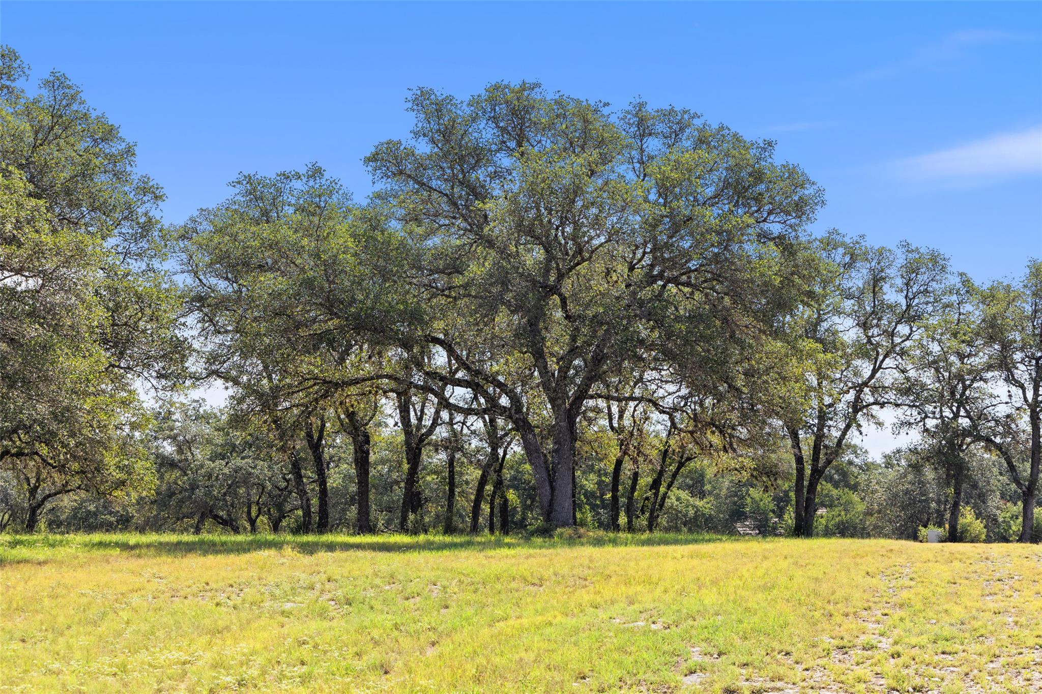 26309 Countryside Dr, Spicewood, TX 78669