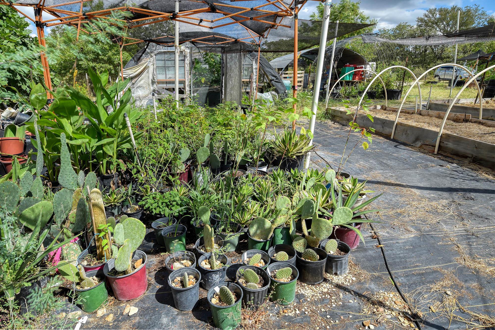 1114 Spotted Horse Trl, Dale, TX 78616