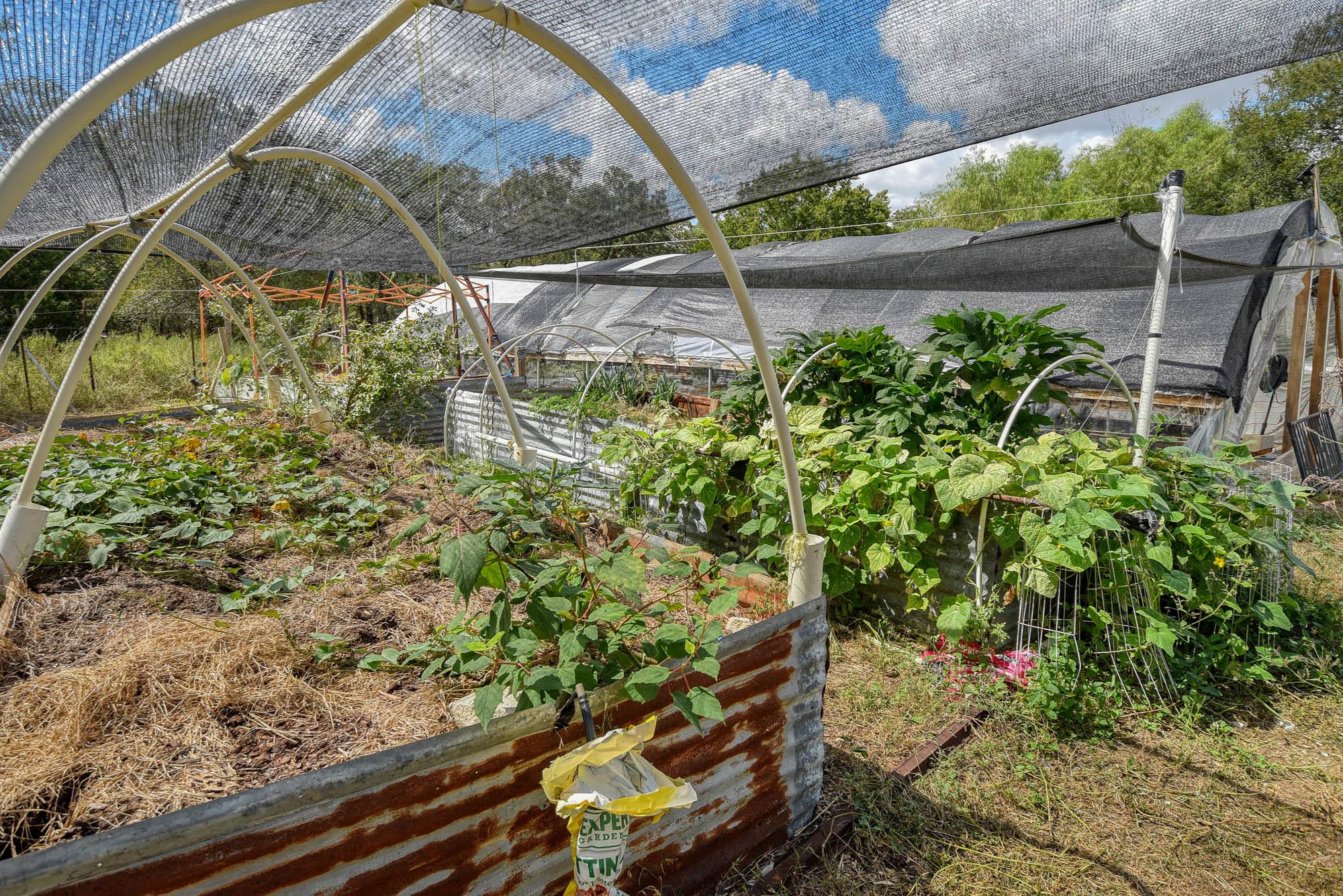 1114 Spotted Horse Trl, Dale, TX 78616