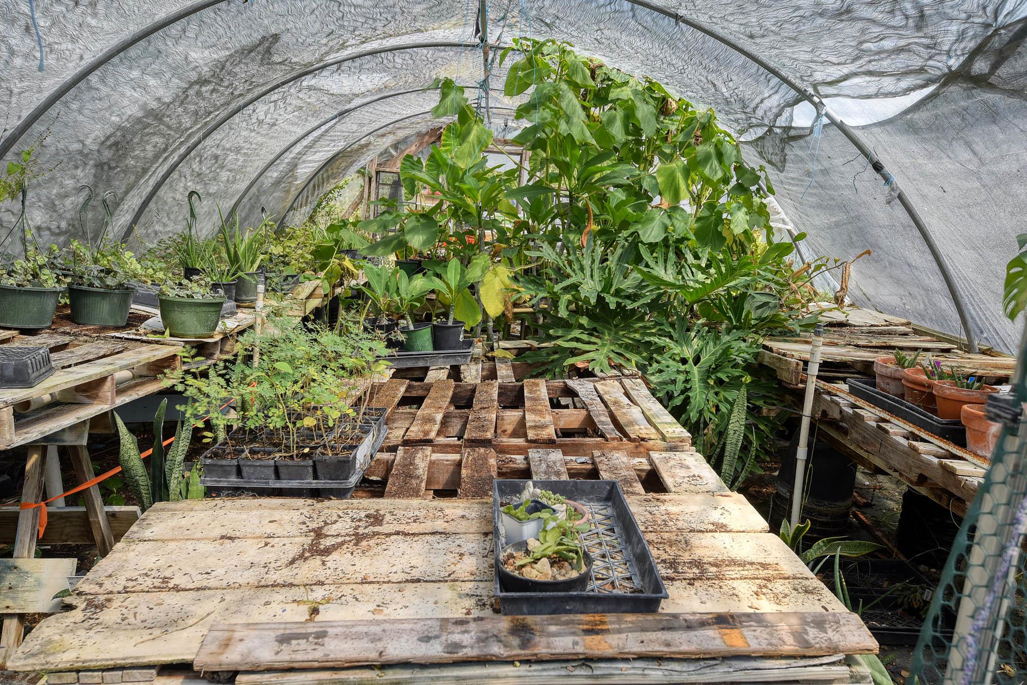 1114 Spotted Horse Trl, Dale, TX 78616