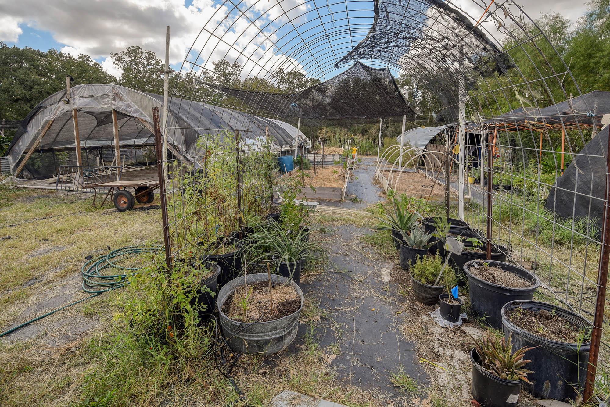 1114 Spotted Horse Trl, Dale, TX 78616