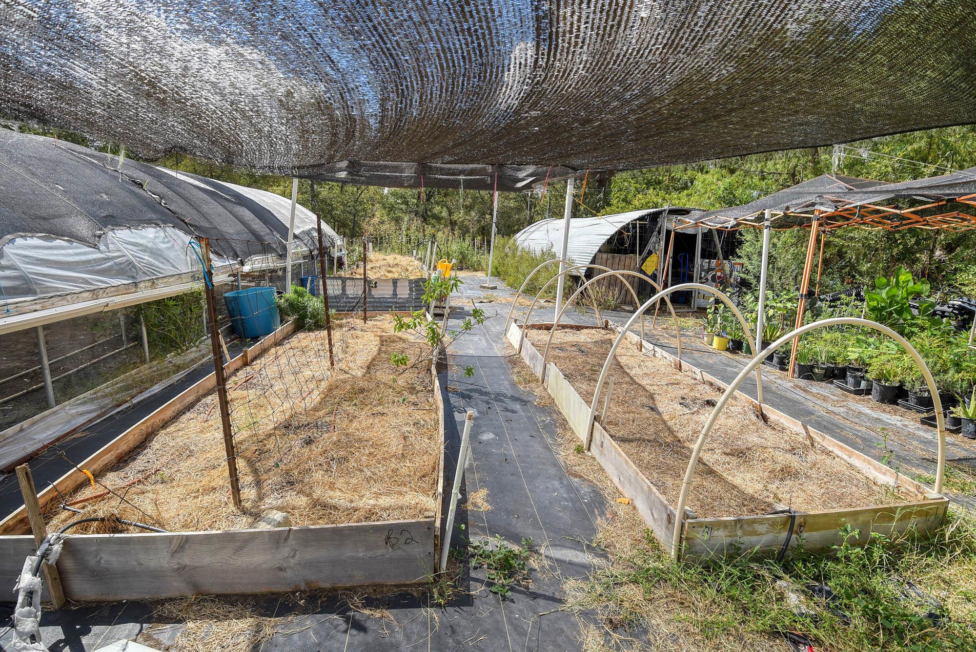 1114 Spotted Horse Trl, Dale, TX 78616