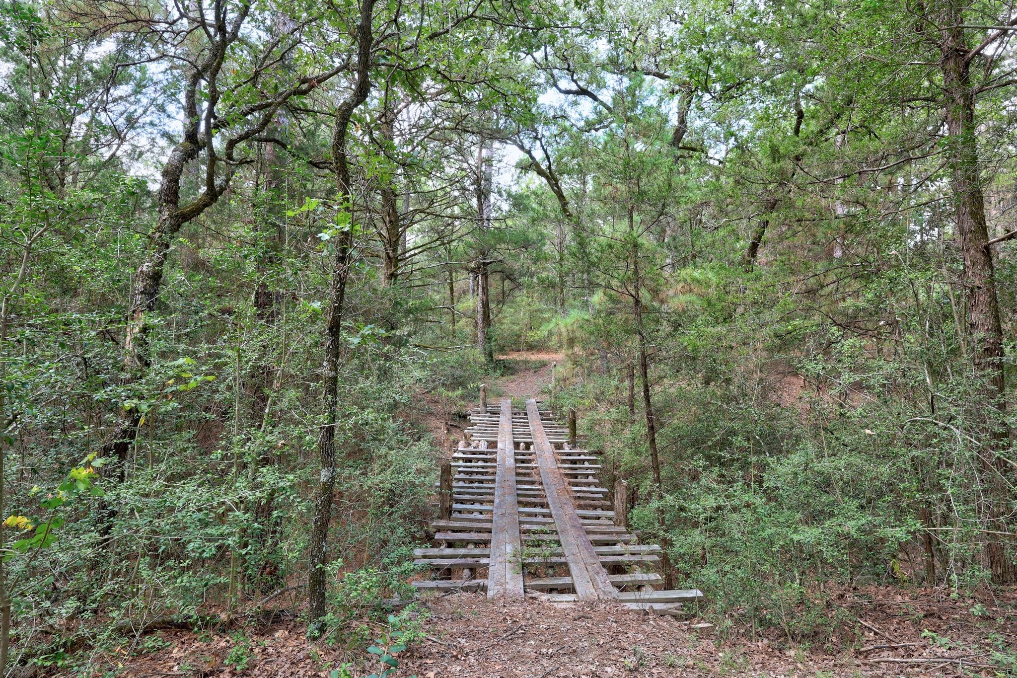 128 Barras Rd, Paige, TX 78659